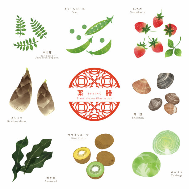 药用食品矢量插图集图片下载