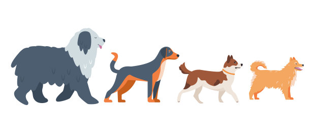一组不同的遛狗。可爱快乐的宠物散步。家用家畜。狗图标。图片下载