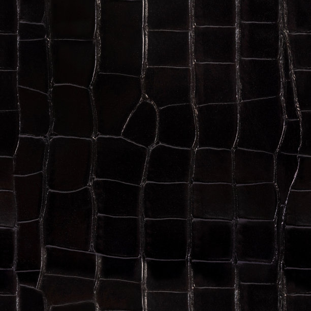无缝4k照片纹理的黑色鳄鱼皮皮革。图片下载