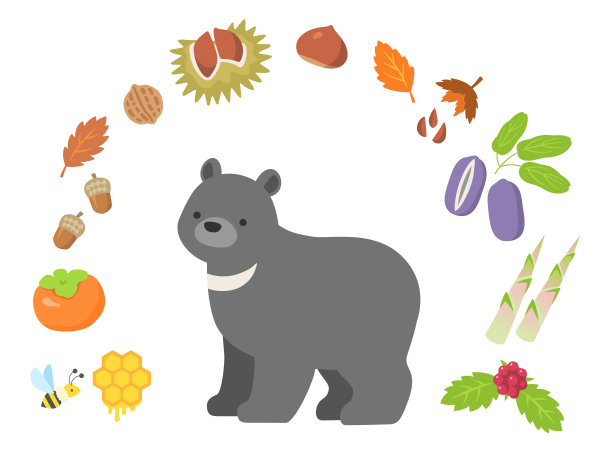 熊和各种山地食物的插图图片下载