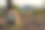 日出时，一位徒步旅行的妇女站在山顶的特写照片图片下载