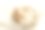 Shimeji蘑菇或棕色山毛榉蘑菇图片下载