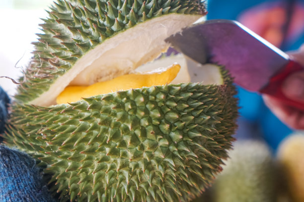 近距离拍摄切开榴莲的过程。图片下载