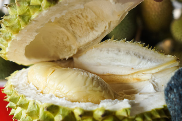 准备吃榴莲肉。图片下载