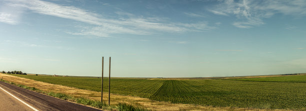 美国公路旁长满绿色农作物的田野全景照片图片下载