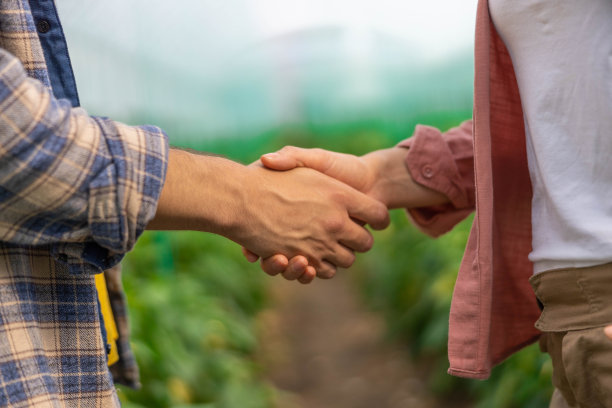 两个农民在温室里握手的特写照片图片下载