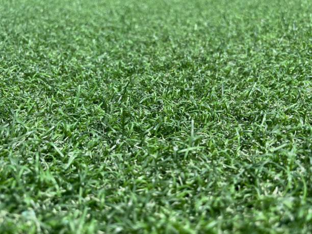 人造草坪介绍及其优点(图1)