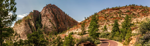 在阳光明媚的日子里，美国犹他州锡安国家公园里布满针叶树和红色道路的沙丘全景照片图片下载