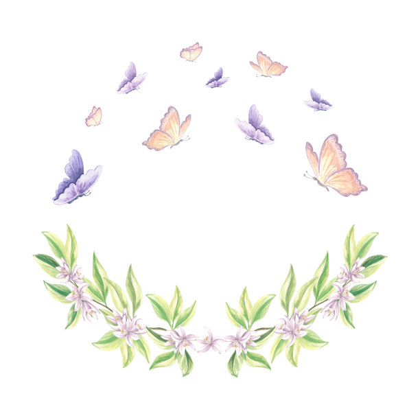 蝴蝶在盛开的柑橘树枝上飞舞。手绘水彩插画春天的花朵的橘子。隔离夏季模板印刷，卡片，剪贴簿，刺绣，纺织。图片下载