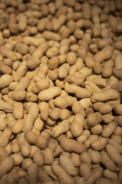 出售坚果。市场上有很多坚果。水果站。图片下载