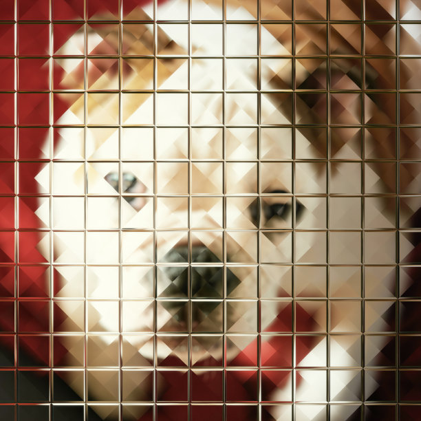 狗的化身图片下载