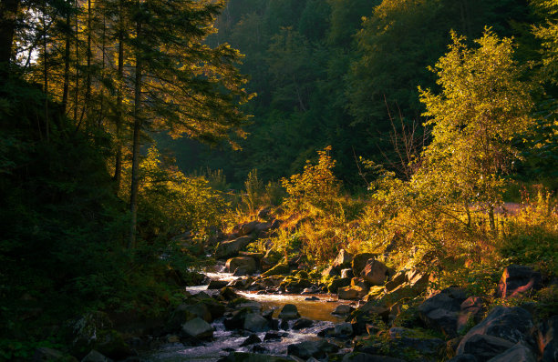 野生高地岩石森林河溪峡谷在秋天的早晨九月的日出时间自然戏剧性的灯光橙色和柔和的焦点概念的图片图片下载