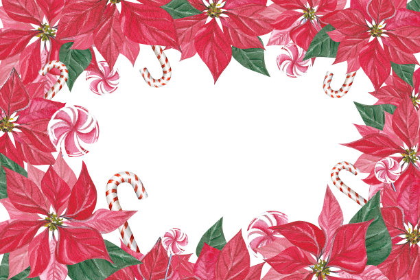 圣诞花卡框架与一品红和糖果手杖。水彩插图派对邀请模板，手绘，树叶，鲜花和糖果手杖。冬季画框设计插画，花语问候。2025图片下载