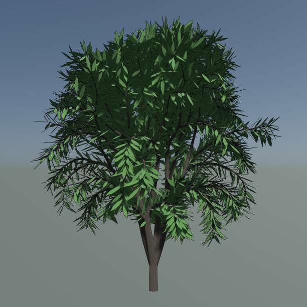 树木和植物的3D插图图片下载