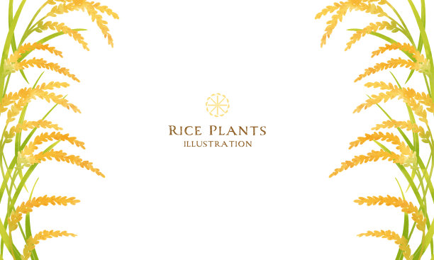 稻穗的图示图片下载