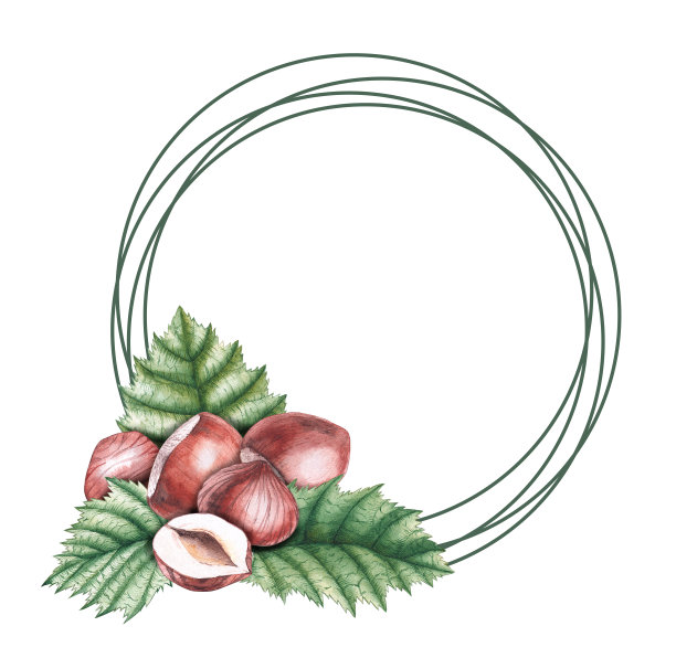 榛子和树叶的水彩框架图片下载