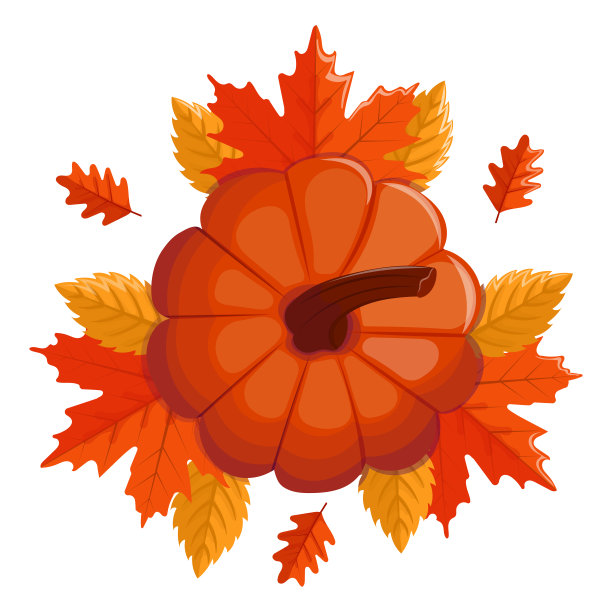 南瓜收获。南瓜在秋天的叶子。图片下载