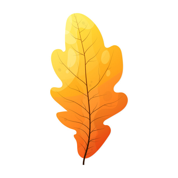 向量现实的橡树落叶插图。图片下载