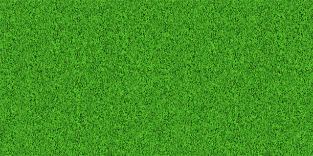 绿草场背景顶视图为足球，高尔夫，棒球，足球。逼真的夏日清新草坪地毯。绿色田野壁纸。矢量图图片下载