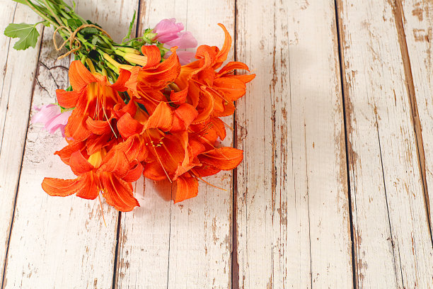 木底百合和锦葵花束，产品广告夏秋横幅，抽象插花，质朴风格，节日贺卡，图片下载