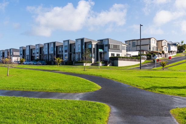 在规划好的社区中新建住宅的典型细分。图片下载