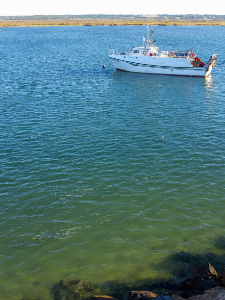 西班牙大西洋沿岸凯门群岛海滩附近的传统渔船。前景中有一群鱼图片下载