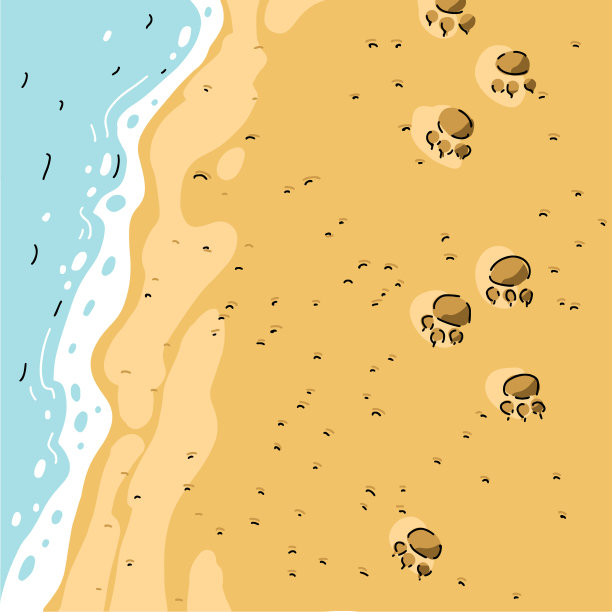 夏日沙滩上的狗散步图片下载