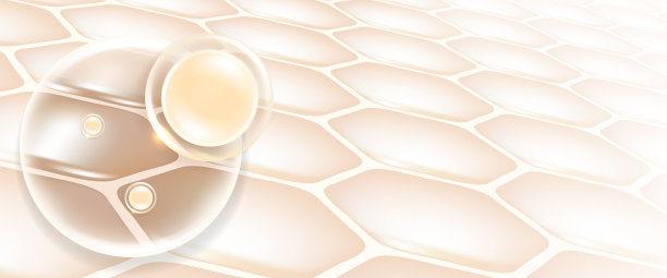 透明质酸和烟酰胺的前后头发和皮肤的解决方案广告，白色胶原蛋白血清滴入皮肤细胞与化妆品广告背景准备使用，插图矢量。图片下载