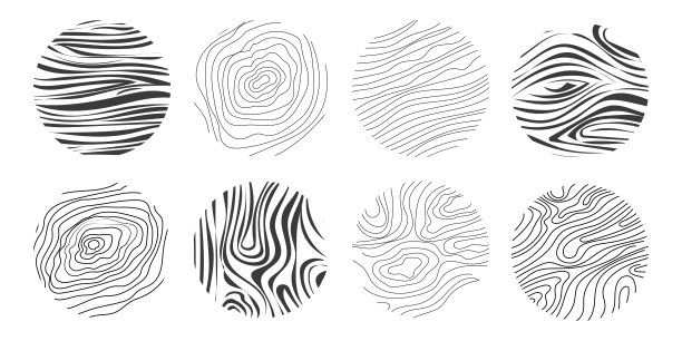 木材纹理材质手绘线条涂鸦。树干几何曲线和波浪轮廓。戒指和圆圈…图片下载