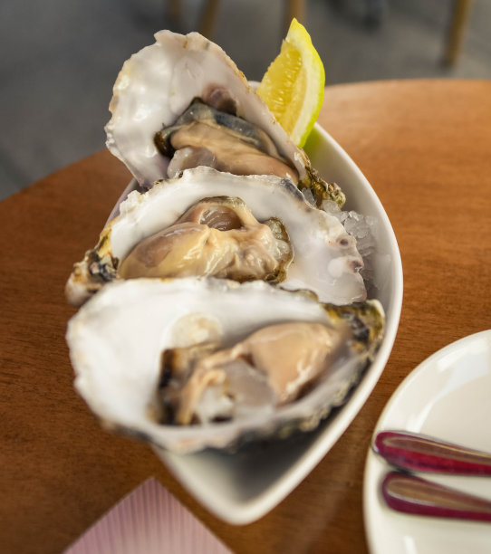 供应高品质牡蛎图片下载