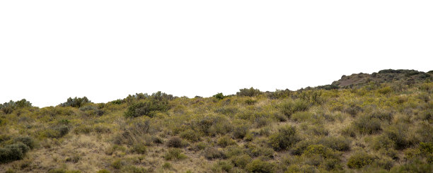 草原风景孤立照片图片下载