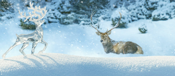 圣诞冬天的背景，横幅-冰装饰鹿在雪堆和背景中的马鹿图片下载