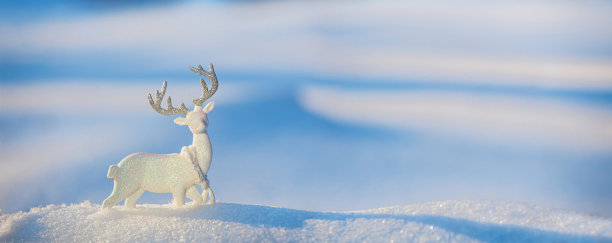 圣诞冬天的背景，横幅-在冬季森林的雪堆上的一只冰鹿，在冬季太阳的光线下闪闪发光图片下载
