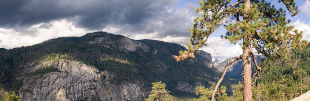 美国尤塞明国家公园山的森林，以半圆顶为背景的全景照片图片下载