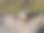乌克兰基辅街头的水果和蔬菜摊。图片下载
