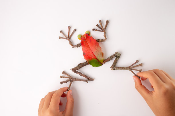 红色和绿色的青蛙坐在叶子上，视觉艺术。用树叶、细枝、木头在白色的背景上制成。自上而下的照片捕捉秋天的精髓。完美的创意和自然项目图片下载