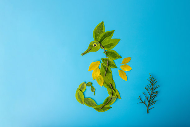 用树叶制作的自然工艺品特写，生态艺术，海马全景，高品质产品照片，绿色和黄色，图片下载