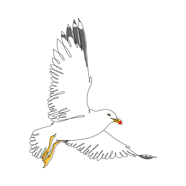 海鸥飞行连续线条绘制与颜色元素和可编辑的笔触图片下载