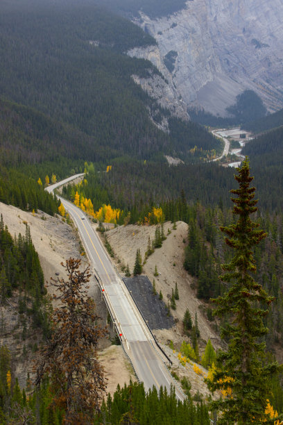 93号公路美丽的冰原公园路，加拿大。图片下载