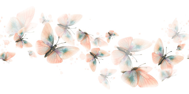 精致，飞翔，优雅的蝴蝶在时尚柔和的颜色桃红色绒毛在复古风格。手绘水彩插图。无缝板纹，重复点缀图片下载