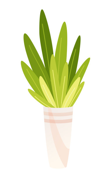 矢量室内盆栽，现实的正面视图。室内植物的三维插图绿色隔离在白色背景上图片下载