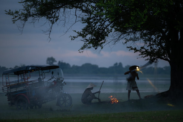 当地渔民在树下准备渔网捕捉湖中的鱼图片下载