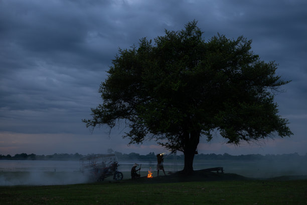 当地渔民在树下准备渔网捕捉湖中的鱼图片下载