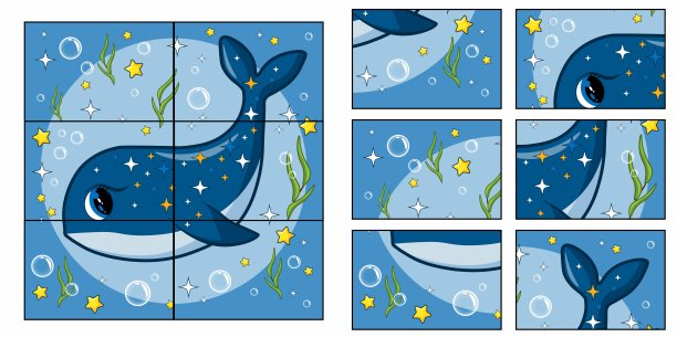 孩子的游戏。收集一张照片。儿童益智益智游戏。图片下载