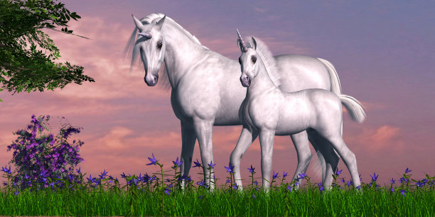 早晨，独角兽妈妈和小马驹图片下载