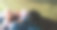 放松，孩子和狗用手机露营看电影，结合和流媒体视频在大自然。家庭，女孩和手机在帐篷的交流，在线娱乐和冒险图片下载