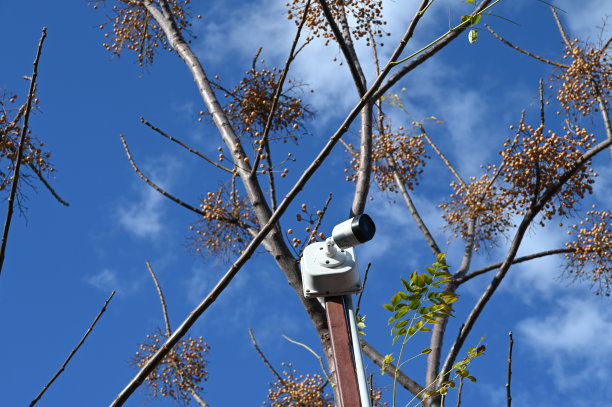塞浦路斯冬季户外监控摄像头图片下载