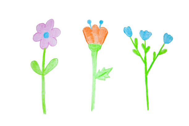 小朋友们用彩色铅笔手绘花卉插画。图片下载