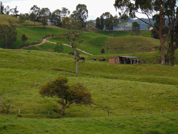 有牛的小屋图片下载