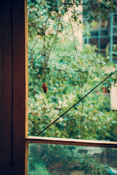 夏天的城市生活照片图片下载